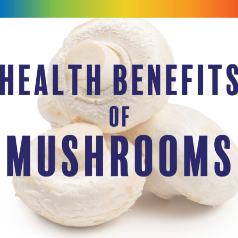 The Longevity Health Benefits of Mushrooms from the Paleo for Life book by Dr. Loren Cordain, Trevor Connor, and Dr. Mark J. Smith