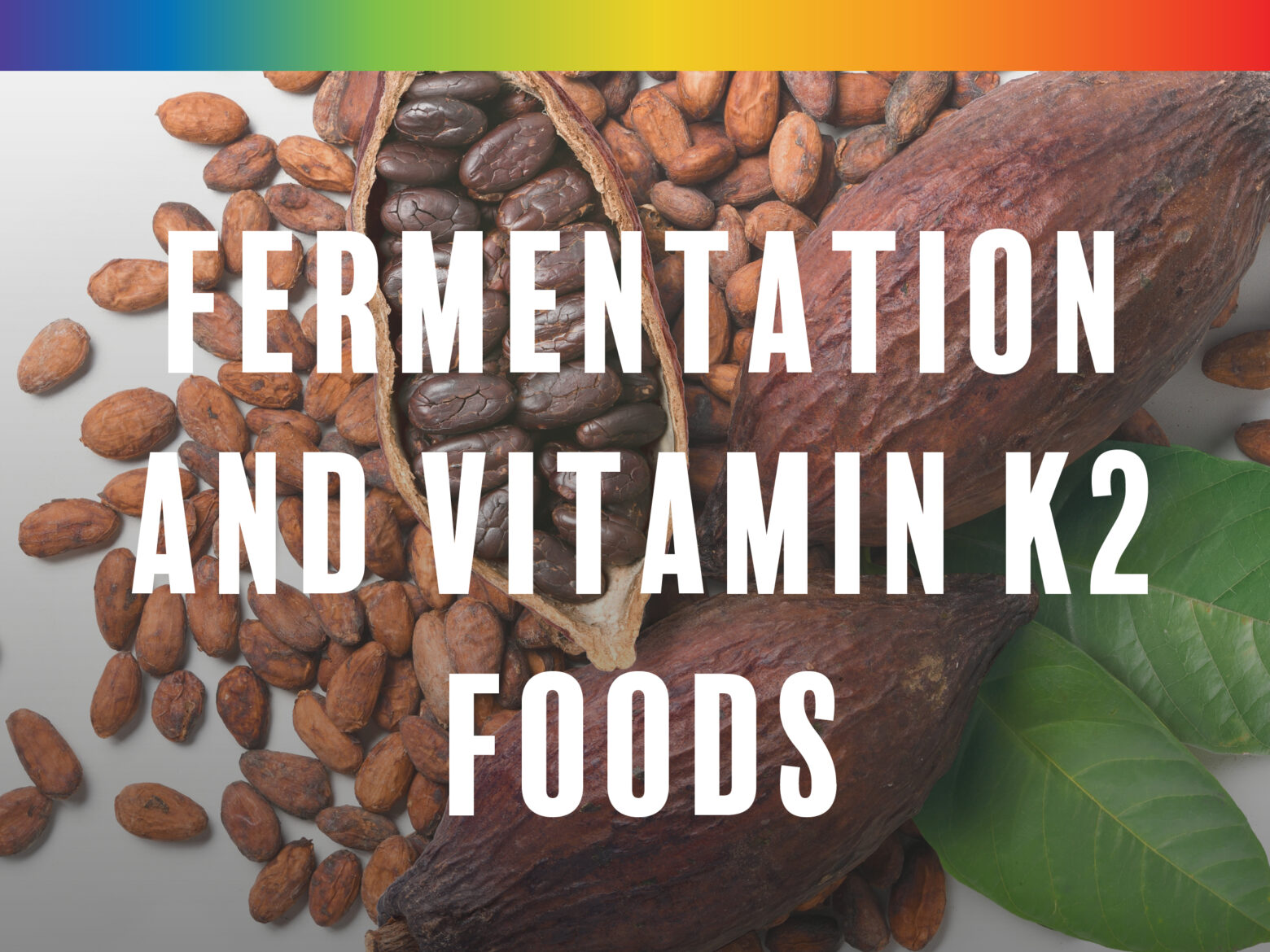 Fermentation and Vitamin K2 Foods from the Paleo for Life book by Dr. Loren Cordain, Trevor Connor, and Dr. Mark J. Smith
