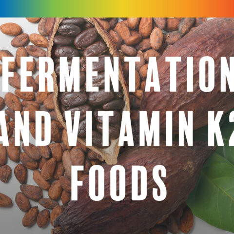 Fermentation and Vitamin K2 Foods from the Paleo for Life book by Dr. Loren Cordain, Trevor Connor, and Dr. Mark J. Smith