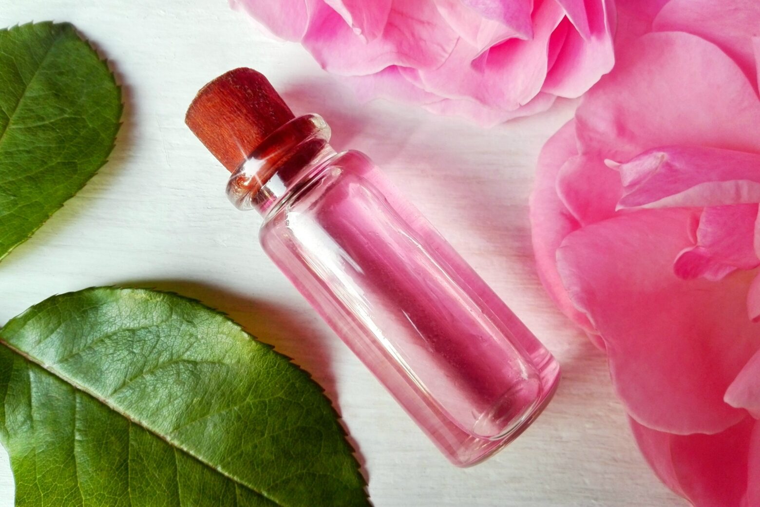 A vial of rosewater, a hydrosol, with pink rose petals and green leaves.