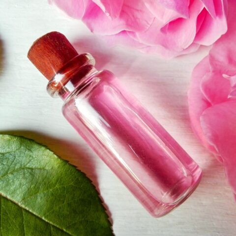 A vial of rosewater, a hydrosol, with pink rose petals and green leaves.