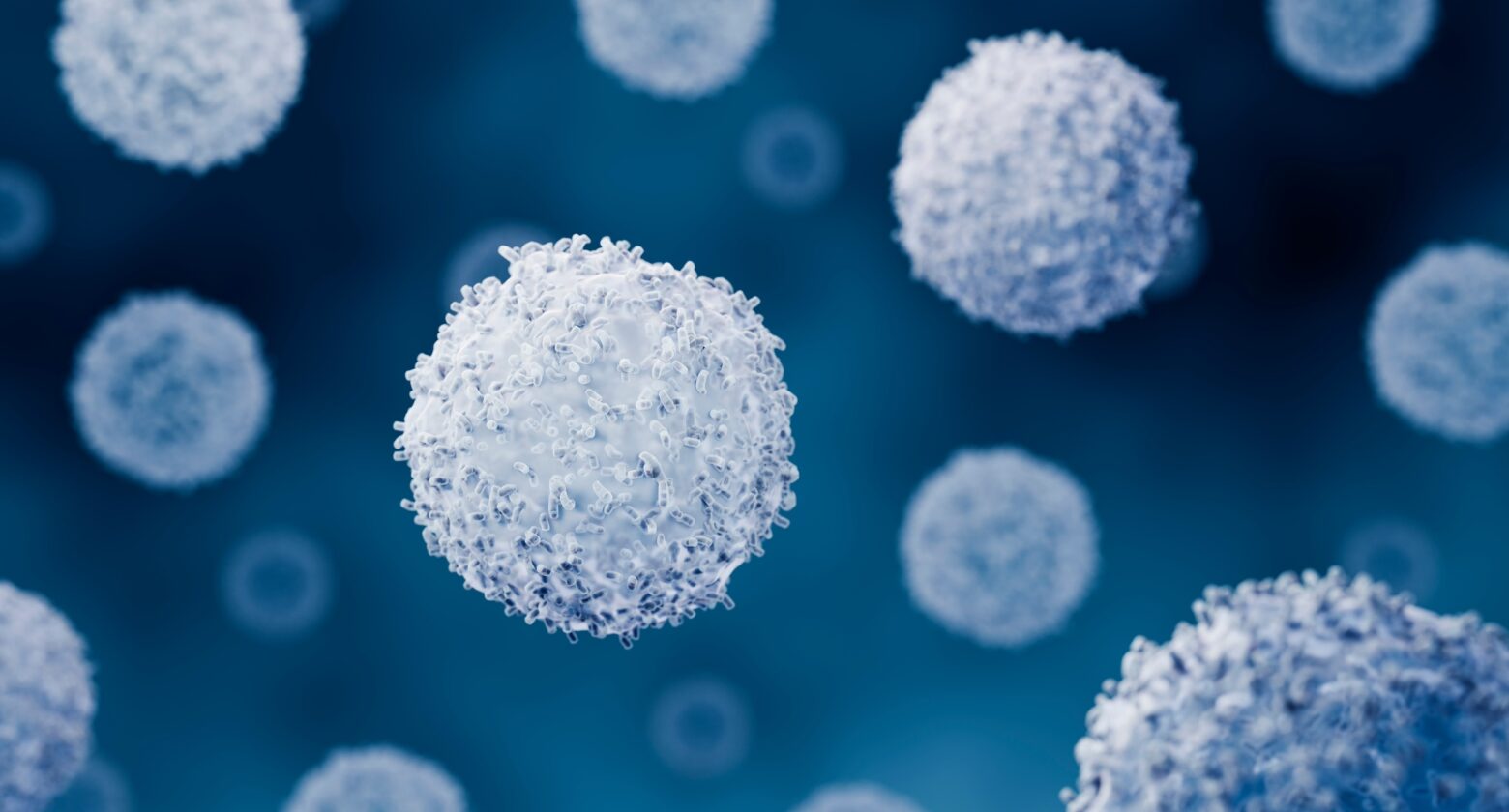 Immune-boosting cells in the body.