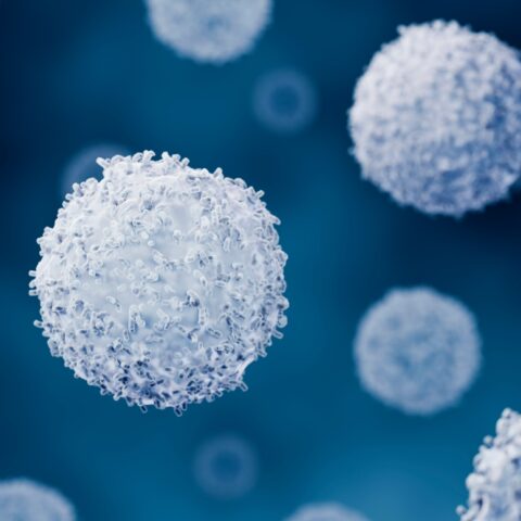 Immune-boosting cells in the body.