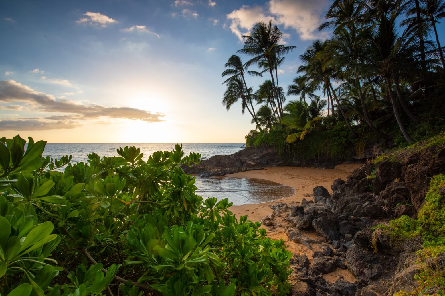 A lush beach cove at sunset.