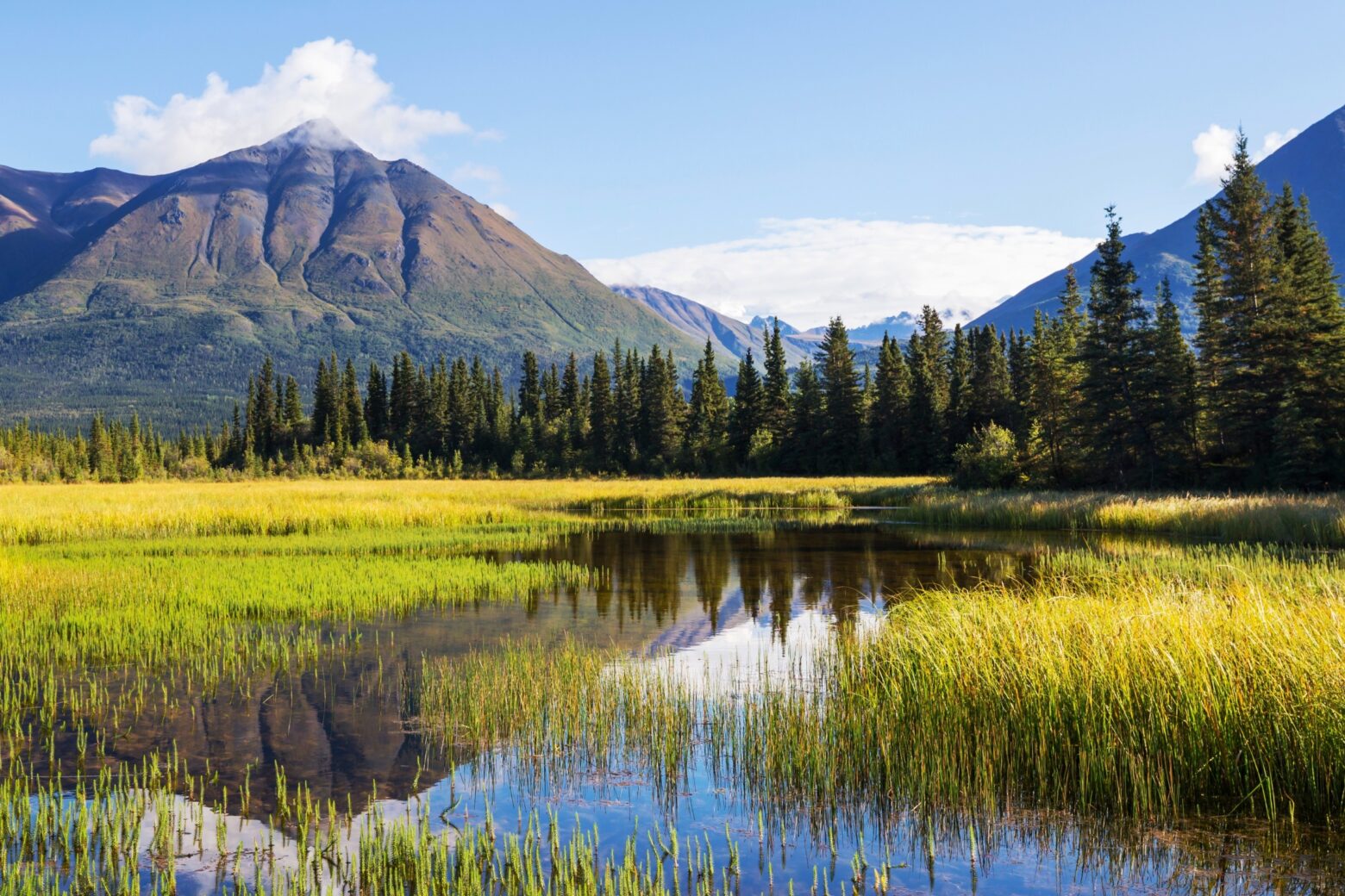 Wetland marsh at the foot of a mountain range.