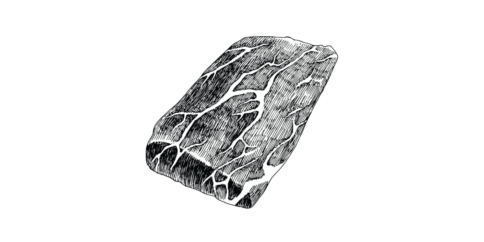 Black and white illustration of chuck roast.