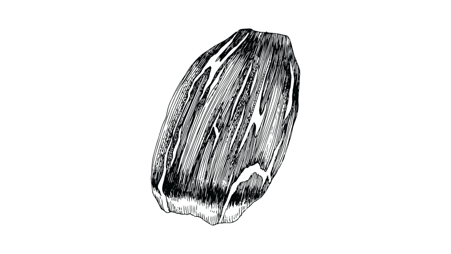 Black and white illustration of flank steak.