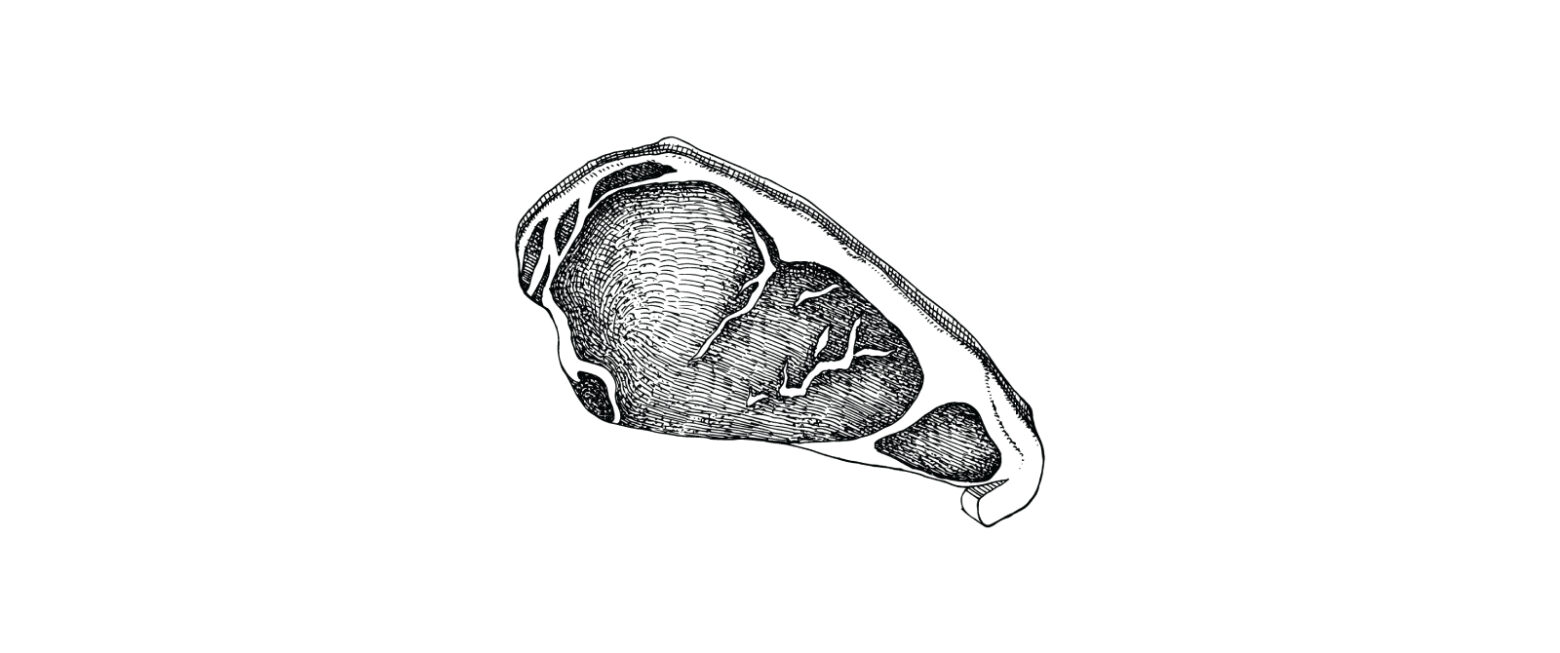 Black and white illustration of sirloin.