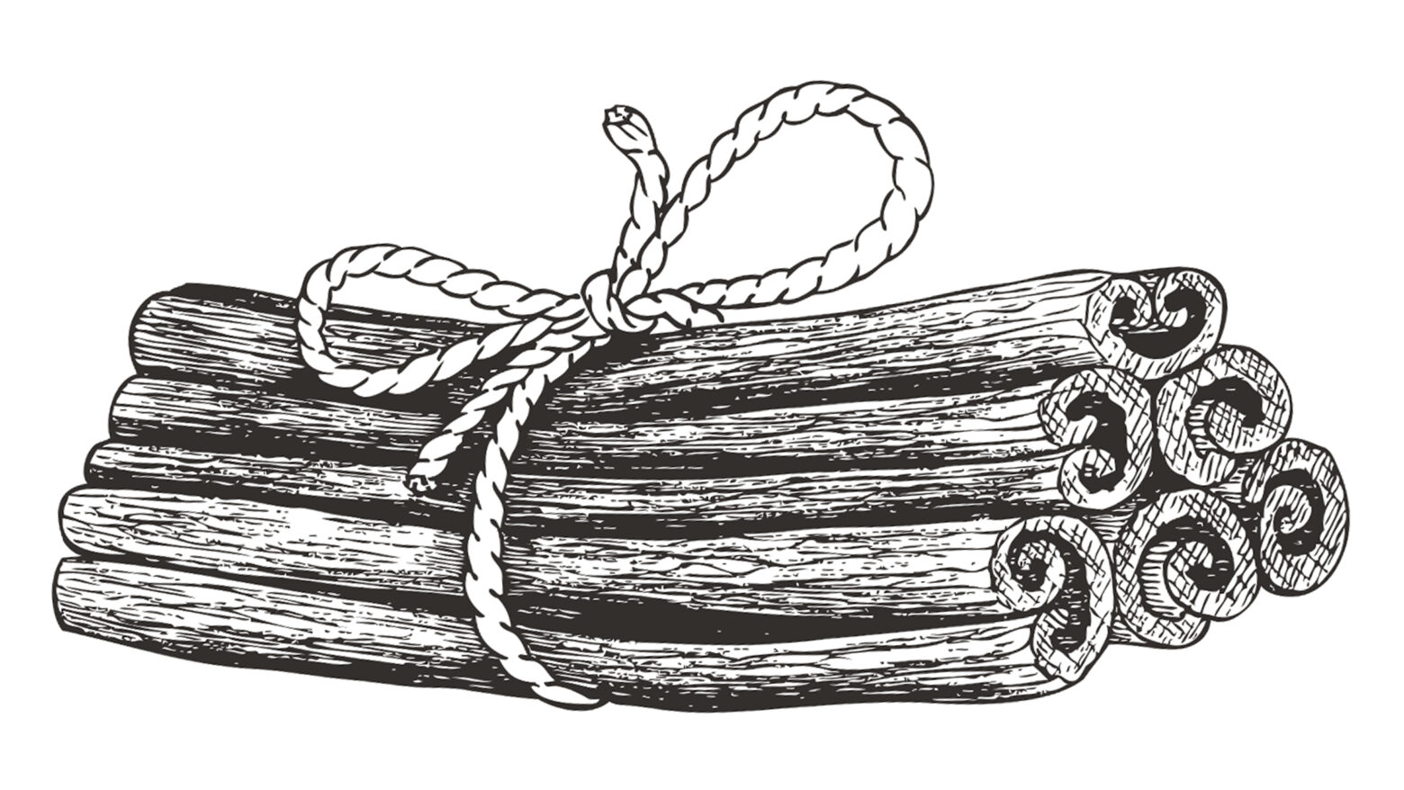 Illustration of a bundle of cinnamon sticks held together with string.