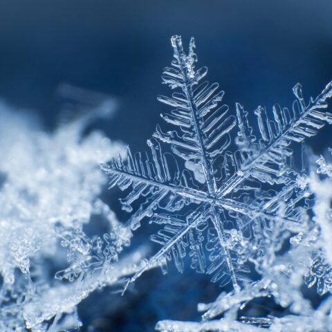 Macro shot of snowflakes.