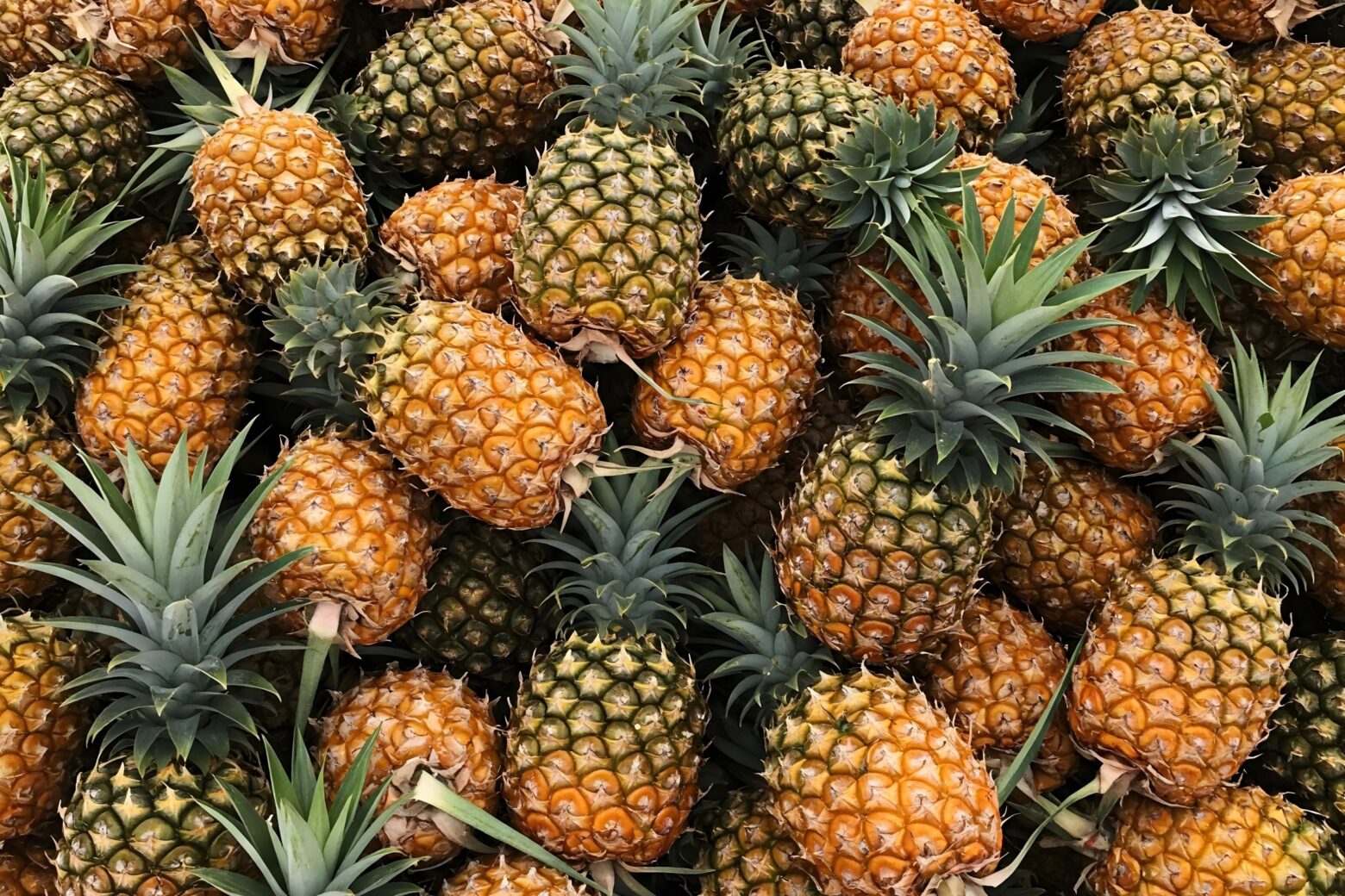 A pile of fresh, whole pineapples